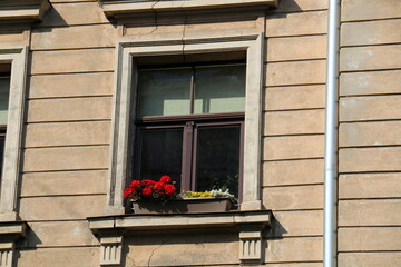 Small window in the big city.