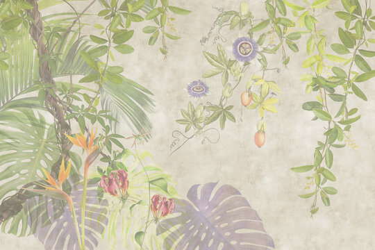 Tropical plants, flowers and leaves on a grunge background. Great choise for wallpaper, photo wallpaper, fresco, mural, card, postcard, home decor, poster. Design for modern and loft interior.	

