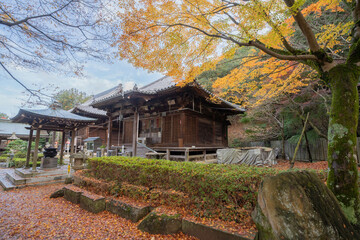 白峯寺