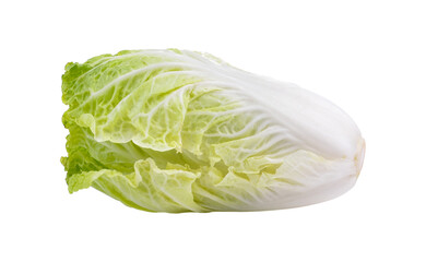 Chinese cabbage on transparent png
