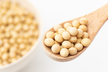 大豆イメージ01