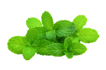 mint leaf on transparent png © kitsananan Kuna
