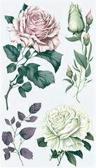 Rose in Marker drawing, Flower Illustration Set. Invitations and Cards. Generative AI