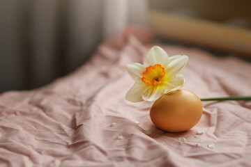 Obraz na płótnie Canvas Natural egg and blooming daffodil flower on pink fabric background. Happy Easter! Rustic easter still life. Space for text