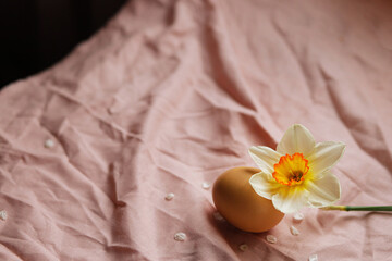 Natural egg and blooming daffodil flower on pink fabric background. Happy Easter! Rustic easter still life. Space for text
