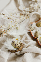 Stylish easter eggs and blooming spring flowers on linen fabric. Happy Easter! Natural quail eggs in tray, feathers and cherry blossoms on rural table. Rustic easter still life