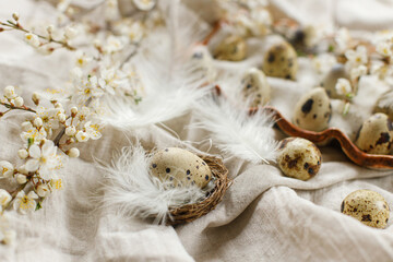 Stylish easter eggs and blooming spring flowers on linen fabric. Happy Easter! Natural quail eggs...