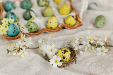 Fototapeta na wymiar Happy Easter! Stylish easter eggs and blooming spring flowers on rustic table. Natural painted quail eggs in tray, feathers and cherry blossoms on linen fabric. Rustic easter still life