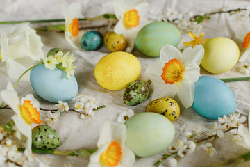 Happy Easter! Stylish easter eggs and blooming spring flowers on rustic table. Rustic easter still life. Natural painted eggs and daffodils bloom on linen fabric