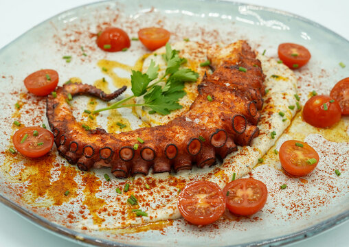 Racion gourmet de tentaculo de pulpo en un restaurante frances