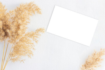 Mock up with blank business card and dried pampas grass on white background with shadow and...