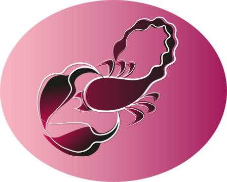 scorpion zodiac sign illustration