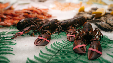 Mercado de La Boqueria, close to La Rambla Street. An exposition of fish and sea products. Spain.