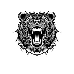 Roaring bear vector image