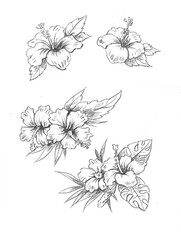 background with tropical flowers pencil drawing for card illustration background 