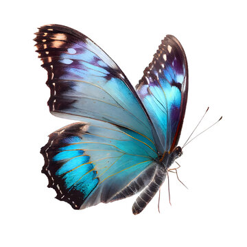 Beautiful blue butterfly in full body close-up portrait, flying with grace. Generative AI. © PNG-Universe