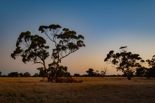Voyage en Australie - kangaroo island - Australia