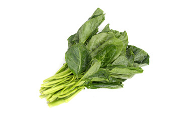Collard greens on white background.