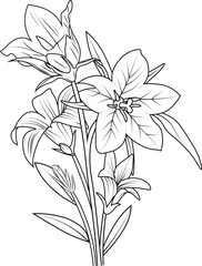 pencil bluebell drawing, bellflowers illustration coloring page, simplicity, Embellishment, monochrome, vector art, Outline print with blossoms Campanula Bellflower, bouquet leaves, and buds.
