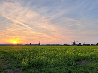 Sunset over the meadows of the Tweemanspolder in Zevenhuizen