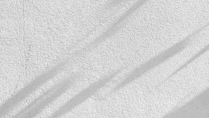 Black and White abstract background texture of shadows leaf on a concrete wall
