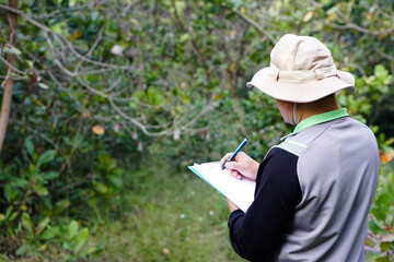 Asian man botanist is at forest to survey botanical plants, holds paper clipboard. Concept , Survey ,research botanical plants. Forest and environment conservation.        