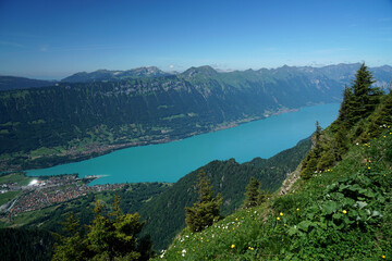 Obraz premium Sommer Schweizer Alpen Schweiz Switzerland Swiss Alps