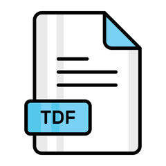 An amazing vector icon of TDF file, editable design