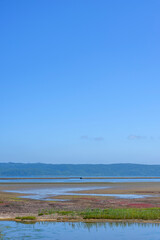 鮮やかな、北海道　能取湖のサンゴ草
