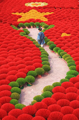 Colorful incenses at Quang Phu Cau village in Hanoi, Vietnam.	