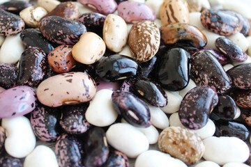 healthy food  colored beans