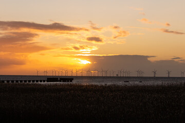 Sun setting behind ocean wind power plant farm outside Skåne Sweden