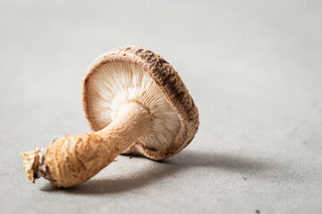 Shiitake mushrooms on marble background	
