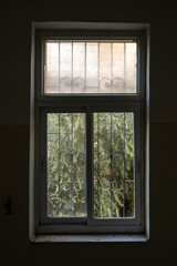 Olive Trees by the House Window with Dark Wall