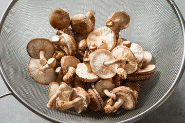 Shiitake mushrooms on marble background	