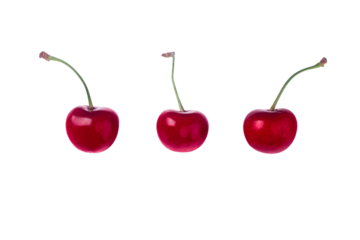 Cherry isolated. Cherry on transparent background.