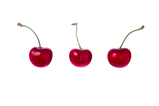 Cherry isolated. Cherry on transparent background.