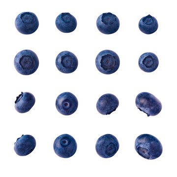 Set or collection of fresh blueberries isolated on transparent background