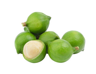 fresh macadamia nut on transparent png