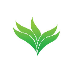 Aloe Vera logo icon design symbol beauty