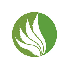 Aloe Vera logo icon design symbol beauty