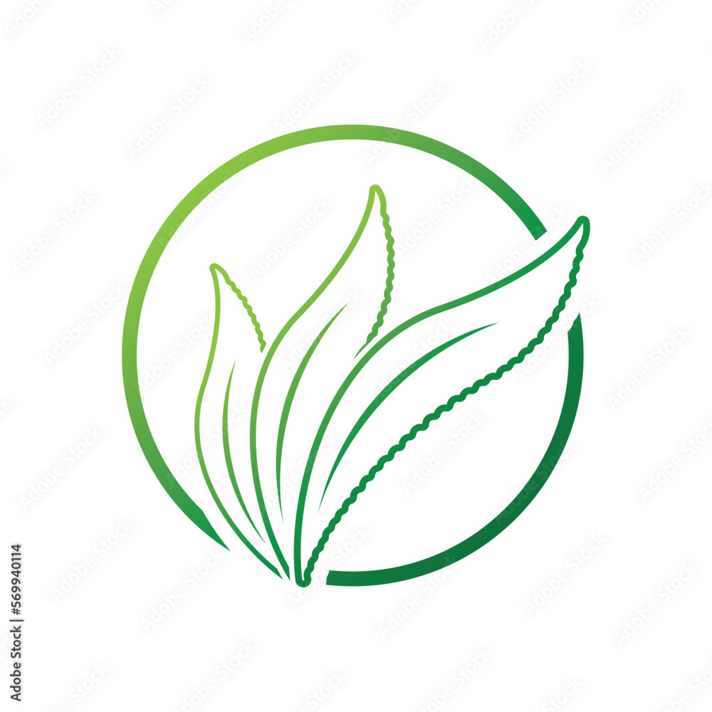 Sticker aloe vera logo icon design symbol beauty