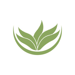 Aloe Vera logo icon design symbol beauty