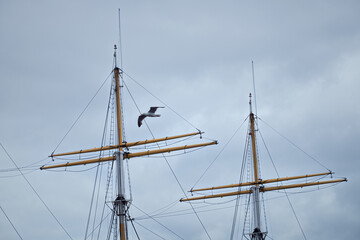 The masts of an old sailboat against the cloudy sky and a flying seagull. Glenlee, steel-hulled three-masted barque. The Tall Ship at Glasgow Harbour
