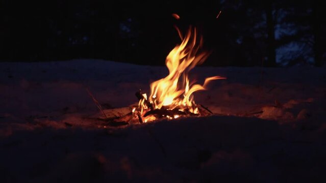 Bonfire in the forest. Fire and bright flames from the fire illuminate the evening winter forest.