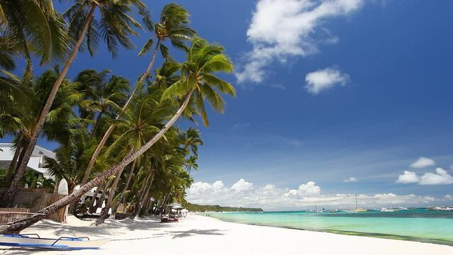 Pristine beach with palm trees, white sand and turquoise tropical sea. Travel destination. Nobody