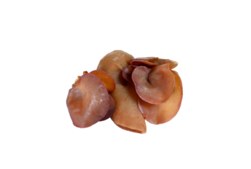 black  mushroom  on  transparent png