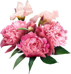 Pink peony isolated on a transparent background. Png file.  Floral arrangement, bouquet of garden flowers. Can be used for invitations, greeting, wedding card. © RinaM