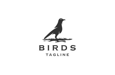 Obraz premium Bird logo design template flat vector