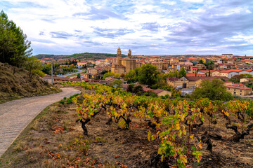 Elciego Spain view of vineyard and town in Alava Basque Country wine making region